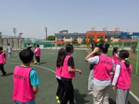 사진모음<학교소식<초평초등학교 초평초등학교