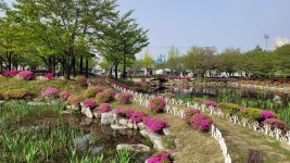 포토갤러리<학교소개<국원고등학교 국원고등학교