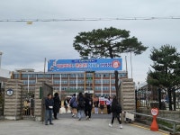 학교앨범