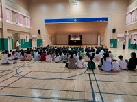 증안앨범<유치원<증안초등학교 증안초등학교