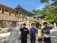 안내앨범<학교소식<안내초등학교 안내초등학교