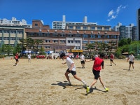 학교앨범