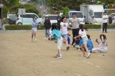 사진갤러리<알림마당<동화초등학교 동화초등학교