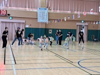 증안앨범<유치원<증안초등학교 증안초등학교