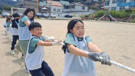 학교행사앨범<수정홍보자료<학교소식<수정초등학교 수정초등학교
