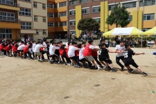 행사사진<탄금소식<탄금초등학교 탄금초등학교