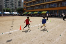 행사사진<탄금소식<탄금초등학교 탄금초등학교