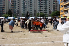 행사사진<탄금소식<탄금초등학교 탄금초등학교