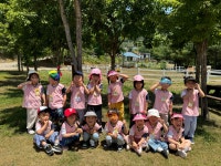 앨범<병설유치원<충주남한강초등학교 충주남한강초등학교