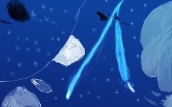 웹툰갤러리<학생마당<미원초등학교 미원초등학교