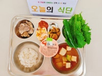식단표<보건급식마당<문백초등학교 문백초등학교