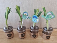 내수앨범<알림마당<병설유치원<내수초등학교 내수초등학교