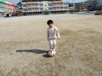 내수앨범<알림마당<병설유치원<내수초등학교 내수초등학교