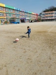 내수앨범<알림마당<병설유치원<내수초등학교 내수초등학교