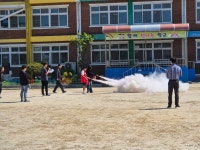 내수앨범<알림마당<병설유치원<내수초등학교 내수초등학교