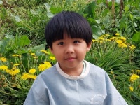 내수앨범<알림마당<병설유치원<내수초등학교 내수초등학교