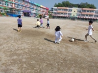 내수앨범<알림마당<병설유치원<내수초등학교 내수초등학교
