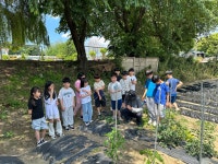 쌍봉앨범<학교소식<쌍봉초등학교 쌍봉초등학교
