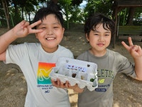 2학년 PBL<아이세움 PBL<연구학교<사직초등학교 사직초등학교