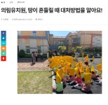 보도자료<알림마당<의림유치원 의림유치원