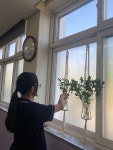 방과후학교