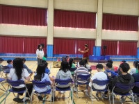 안내앨범<학교소식<안내초등학교 안내초등학교