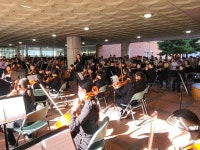 행사앨범<교육활동<솔밭초등학교 솔밭초등학교