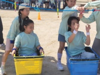 수한앨범<수한소식<수한초등학교 수한초등학교