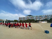 여명앨범<학교소식<충일중학교 충일중학교