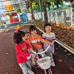 남산앨범(2024)<충주남산유치원 앨범<알림마당<충주남산유치원 충주남산유치원