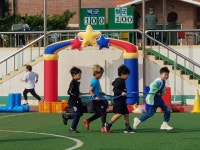 진흥초등학교