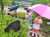 유치원앨범<병설유치원<감물초등학교 감물초등학교
