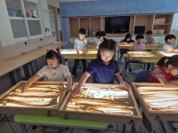 돌봄(늘봄)앨범<돌봄(늘봄)교실<늘봄학교<감물초등학교 감물초등학교