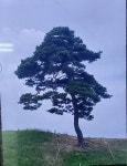 학생게시판<학생마당<수성초등학교 구성분교장 수성초등학교 구성분교장