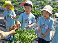 유치원둘러보기<유치원<율량초등학교 율량초등학교