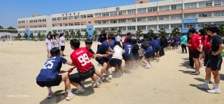 체육대회<학교앨범<학교소식<대성중학교 대성중학교
