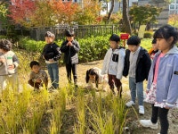 유치원행사앨범<내곡소식<병설유치원<청주내곡초등학교 청주내곡초등학교