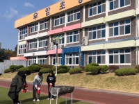 학교행사앨범<알림마당<우암초등학교 우암초등학교