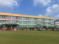 학교행사앨범<알림마당<우암초등학교 우암초등학교