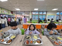 내수앨범<알림마당<병설유치원<내수초등학교 내수초등학교