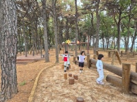 내수앨범<알림마당<병설유치원<내수초등학교 내수초등학교