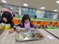 내수앨범<알림마당<병설유치원<내수초등학교 내수초등학교