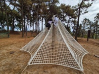내수앨범<알림마당<병설유치원<내수초등학교 내수초등학교