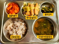 오늘의 식단사진<급식마당<학교소식<속리초등학교 속리초등학교