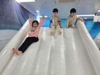 유치원 앨범<병설유치원<용성초등학교 용성초등학교