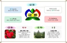 학교상징<학교안내<충주금릉초등학교 충주금릉초등학교