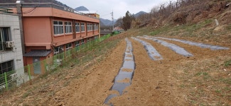 학교앨범<한송소식<한송초중학교 한송초중학교