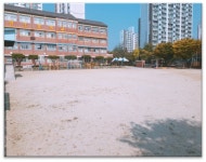 실외환경<유치원시설<유치원소개<유치원<남평초등학교 남평초등학교