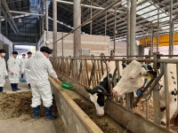 게시판<동물자원과<학과소개<청주농업고등학교 청주농업고등학교