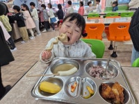 내수앨범<알림마당<병설유치원<내수초등학교 내수초등학교